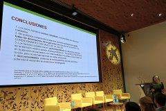 JornadaTS_0361