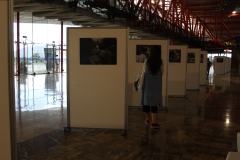 11-expo-6_54152339163_o