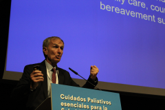 3-plenaria-1-bruera-27_54150544522_o